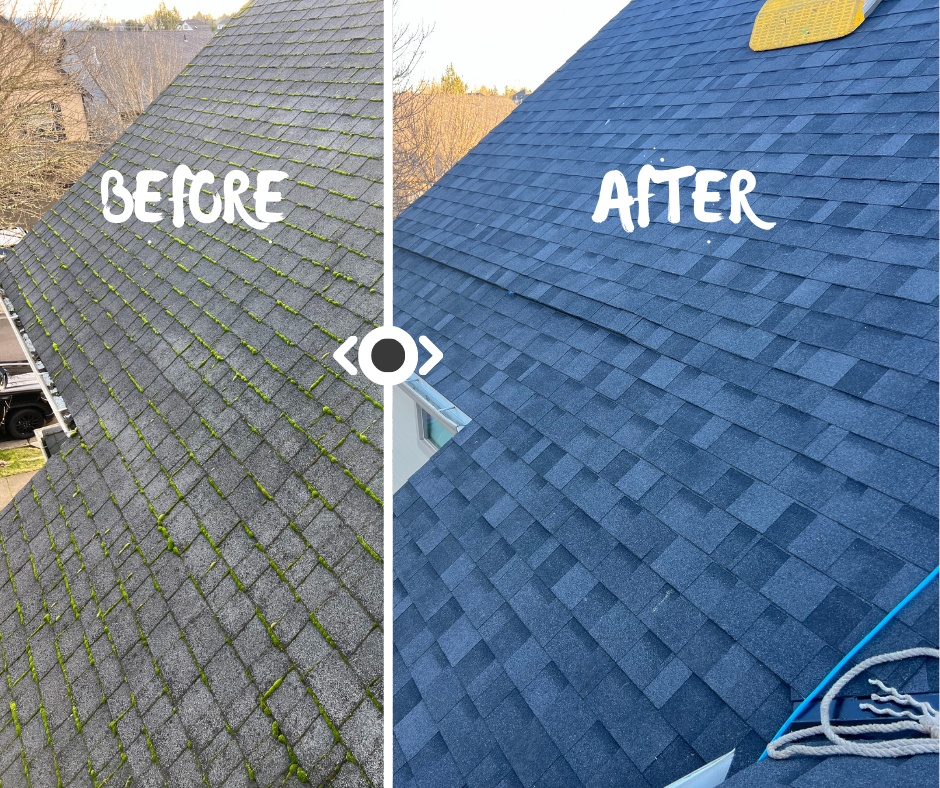 Before and after roof moss treatment - left side shows moss-covered shingles, right side shows clean shingles after treatment